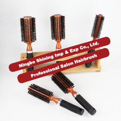 Professional Salon Hairbrush